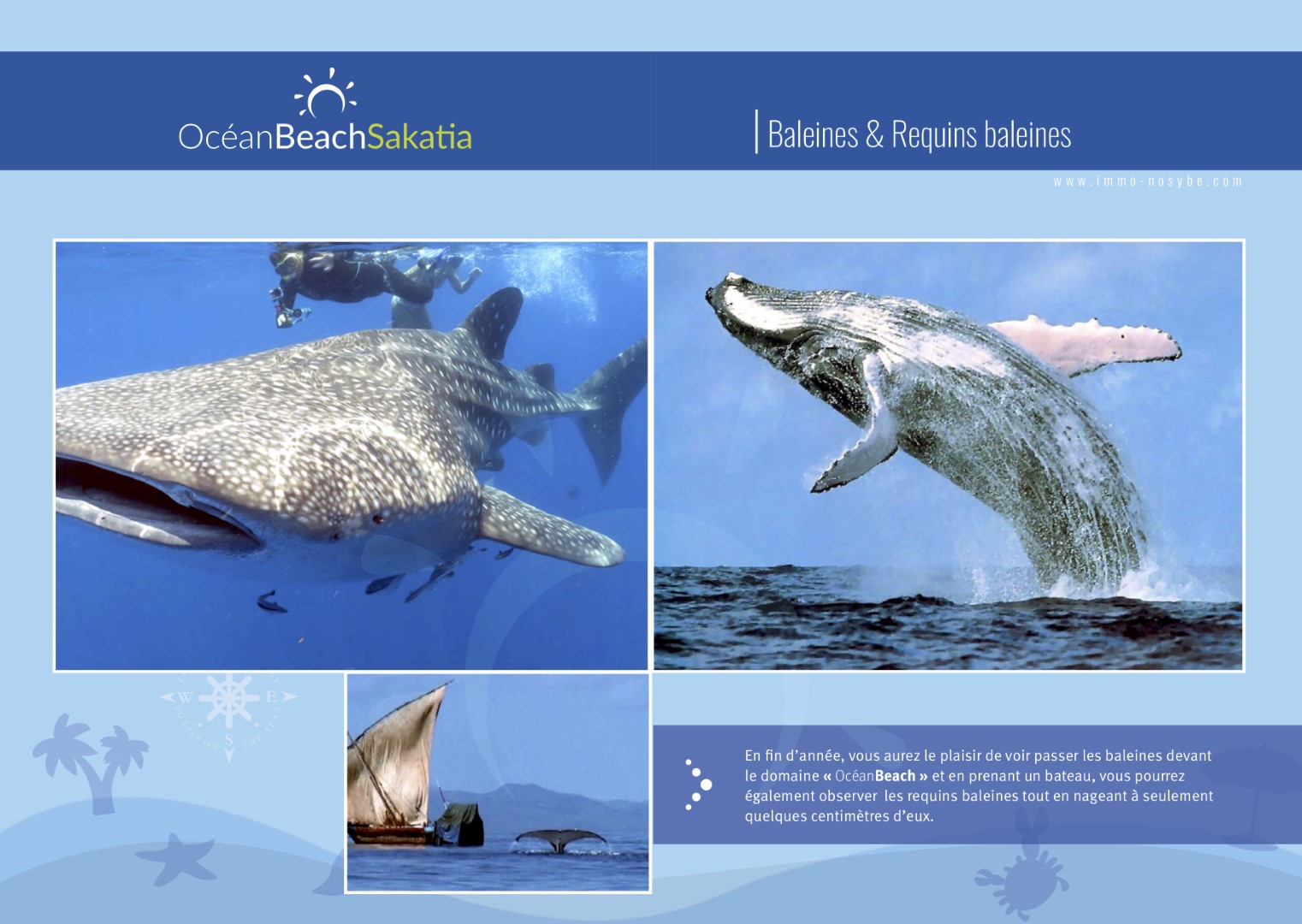 Pirogue Malgache plage